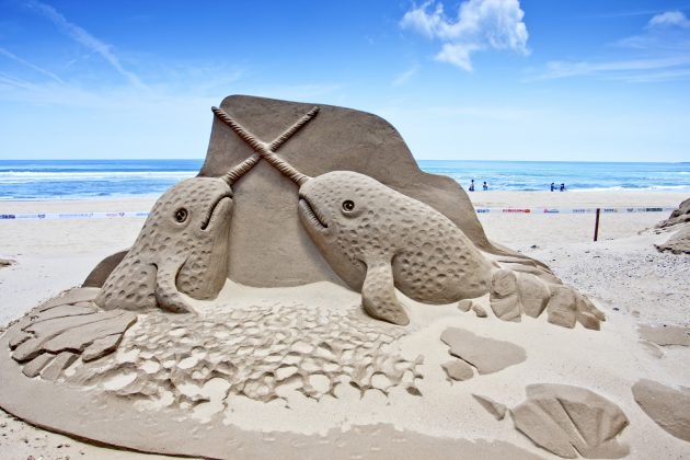 whale sand sculpture